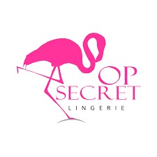 Top Secret Logo